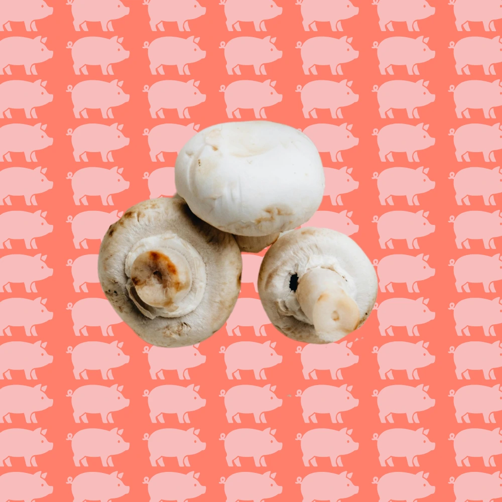 Lasagne fraîche au jambon et champignons – Les Pâtes de Pascal - Fait à Walhain