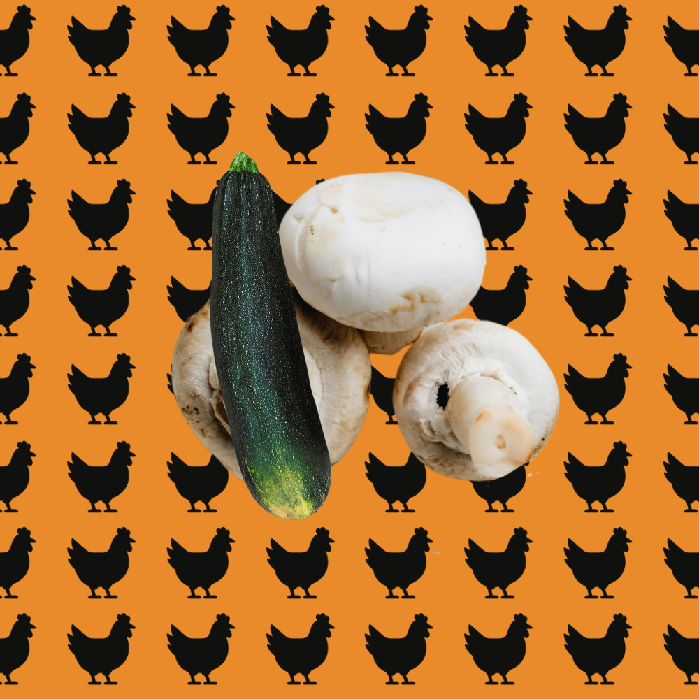 Lasagne poulet courgettes et champignons - Les Pâtes de Pascal - Fait maison