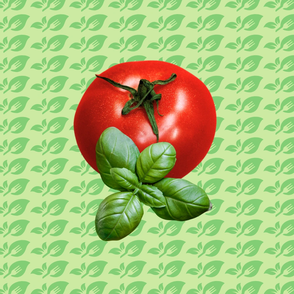 Raviolis maison tomate basilic - Les Pâtes de Pascal - Fait à Walhain