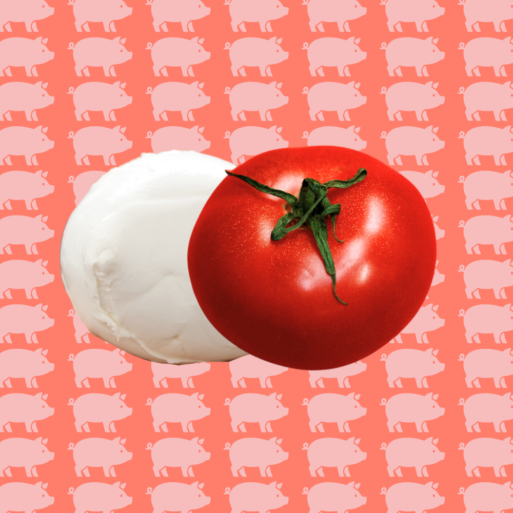 Lasagne maison tomates et mozzarella - Les Pâtes de Pascal – Fait à Walhain