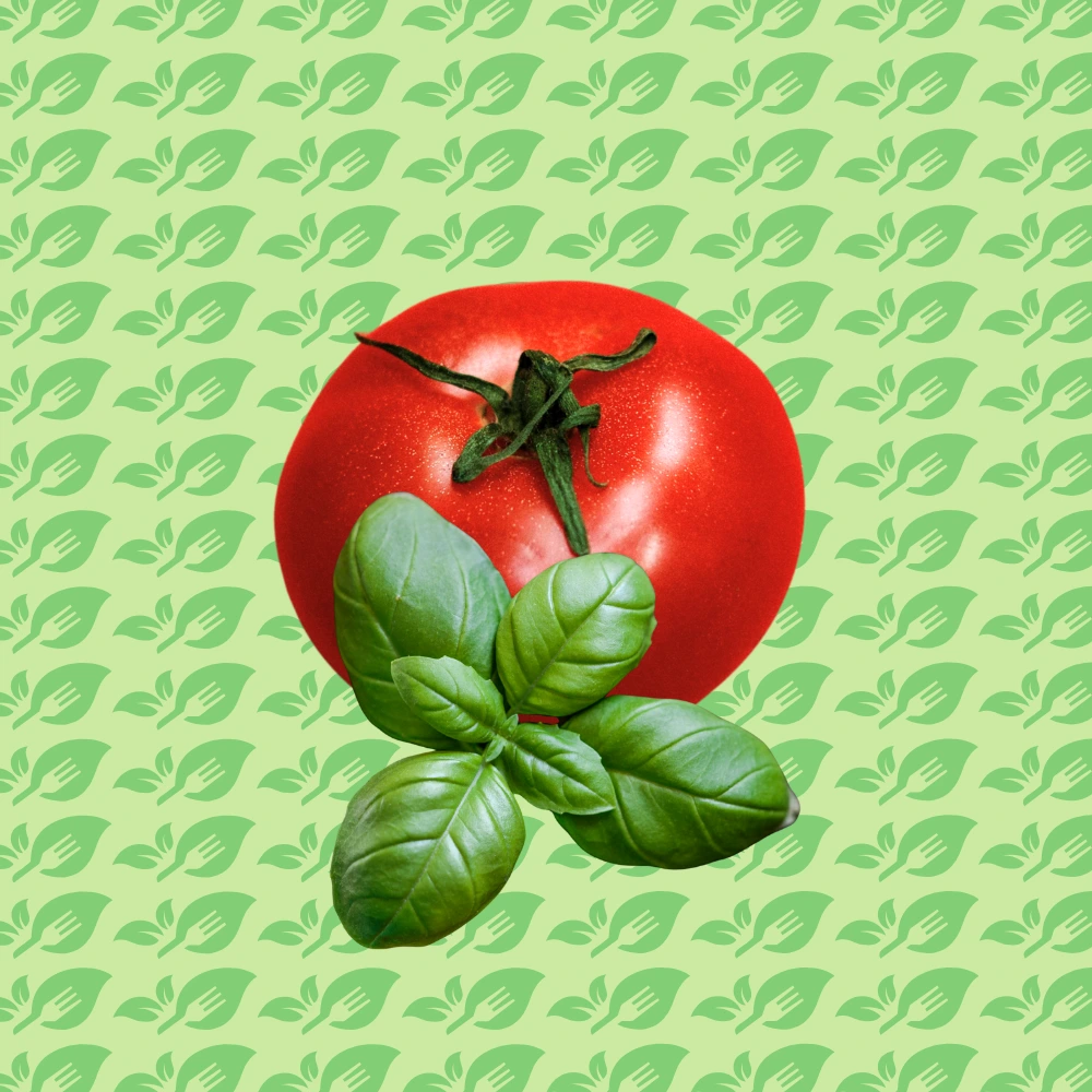 Sauce artisanale tomate et basilic - Les Pâtes de Pascal - Fait à Walhain